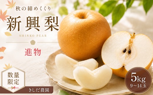 
                  【数量限定】きしだ農園 新興梨（進物） 5kg
                