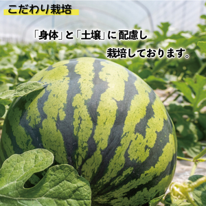 すいか 大玉 1玉 約 5～7kg すいか