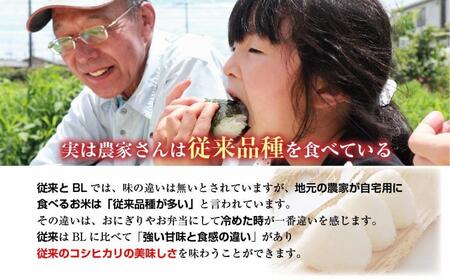 ｜定期便｜ 新潟県 南魚沼産 コシヒカリ 【従来品種】塩沢地区 お米 10kg × 12回 毎月発送 精米済み（お米の美味しい炊き方ガイド付き）