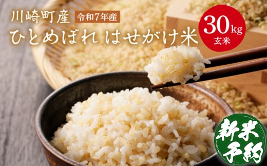 川崎町産ひとめぼれ　はせがけ米　玄米30kg　【04324-0351】