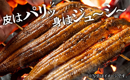 うなぎ 国産 蒲焼・白焼き 各2尾 うなぎ