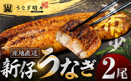 【定期便】蒲焼き２尾３ヶ月連続お届け うなぎ晴々 新仔 うなぎ 