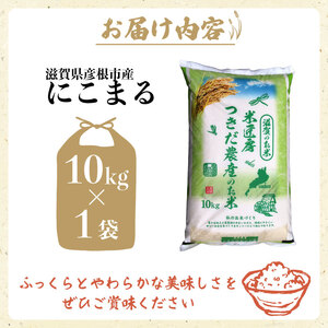 令和7年産 にこまる 白米 10kg 新米