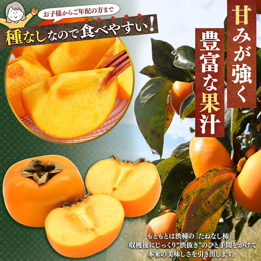 訳あり たねなし柿 約4kg （ 18～23個 ) 大人気 | 種無し たねなし 柿 フルーツ 果物 くだもの カキ かき 農家直送 家庭用 フードロス 秋の味覚 旬 大小混合 奈良県 五條市 まろや