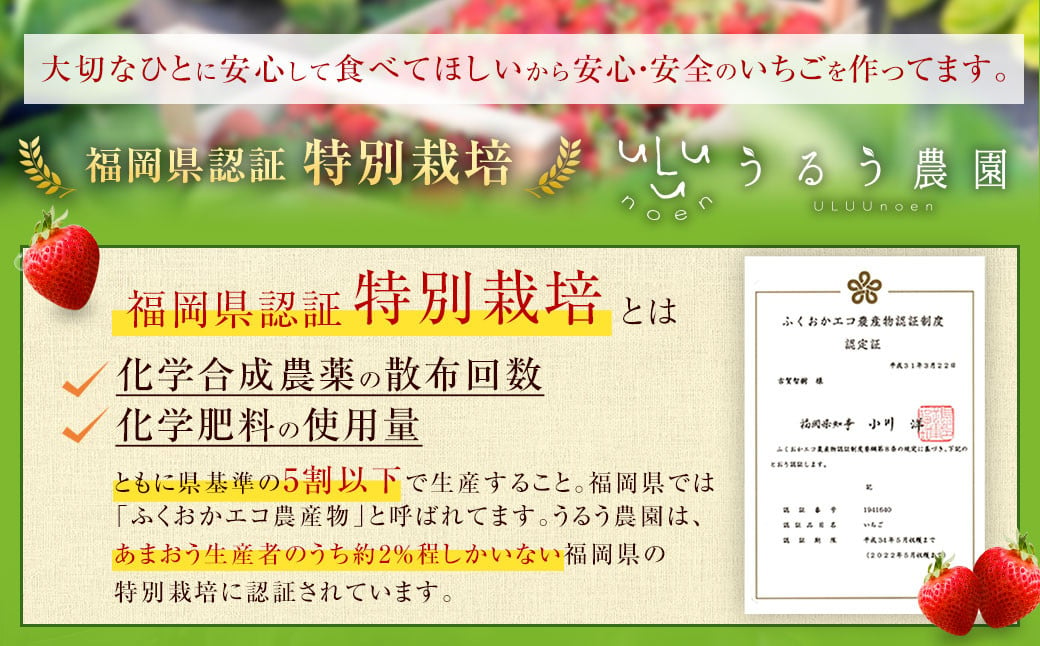 【特別栽培/有機質肥料/アフター保証】うるう農園 あまおう サイズ色々 6パック（約1710g）【2025年2月上旬～4月上旬発送予定】いちご イチゴ 苺 フルーツ 果物