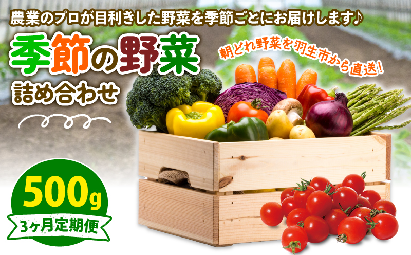 季節の野菜 定期便 500g 3ヶ月