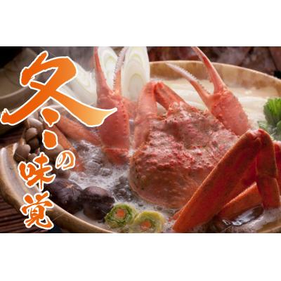 ふるさと納税 鳥取市 鳥取県産 タグ付き茹で松葉がに【中村商店】 |  | 02