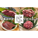 【ふるさと納税】館山ジビエ 満足セット 猪肉 計1kg(4種)【配送不可地域：離島】【1486491】