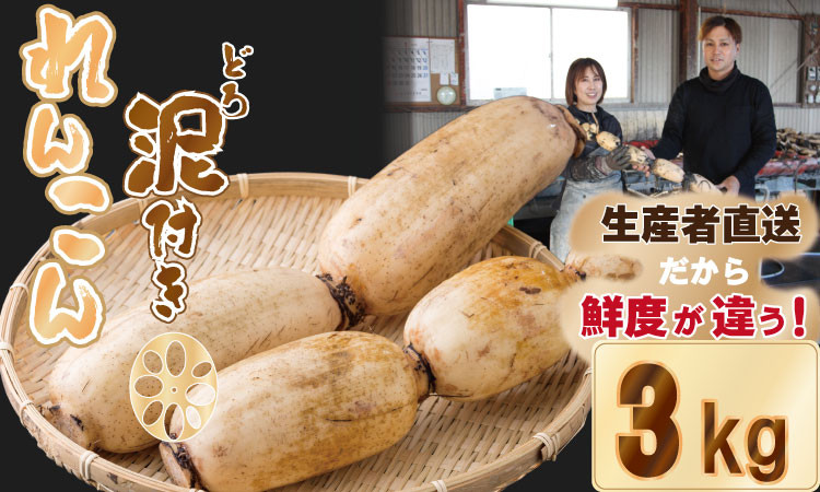 
                  大人気！佐賀県産泥付きれんこん（3kg） もりながファーム
                