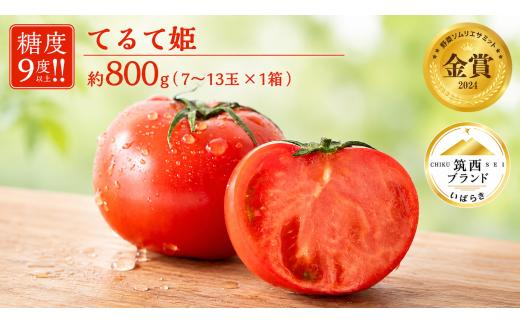 トマト てるて姫 小箱 約800g × 1箱 【7~13玉/1箱】 2027年産 てるてひめ 糖度9度 以上 スーパーフルーツトマト 野菜 フルーツトマト フルーツ トマト とまと 関東 茨城 筑西