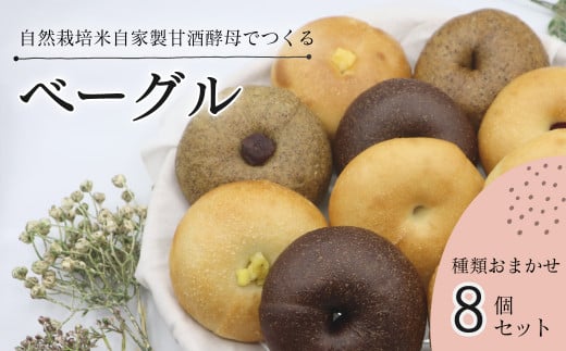 天然酵母ベーグル 種類おまかせ８個セット　西条市産の自然栽培米でつくる 自家製米麹生あま酒を使用した 天然酵母ベーグル