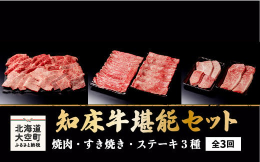 知床牛堪能(焼肉・すき焼き・ステーキ3種)セット全3回  【 ふるさと納税 人気 おすすめ ランキング 牛肉 牛 肉 ステーキ すき焼き 焼肉 国産 定期配送 定期便 北海道 大空町 送料無料 】 OSG010