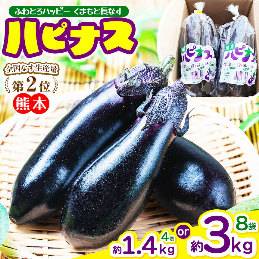 【ふるさと納税】選べる 容量 ハピナス 玉名市産 長なす 約1.4kg 約3kg | 野菜 やさい 茄子 なすび とげ無 種少 薄皮 季節野菜 袋詰め 小分け 熊本県 玉名市