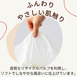 ティッシュペーパー ティッシュ ソフトパック ダブル 400枚 200組 40パック 再生紙 ティシュー エコ シンプル 日用品 消耗品 備蓄 防災 送料無料 愛媛県 四国中央市