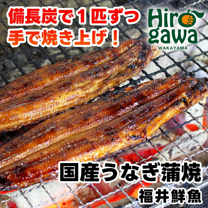 【ふるさと納税】 うなぎ 蒲焼き ( 国産 ) 紀州備長炭 焼き上げ / 鰻 国産うなぎ うなぎ蒲焼き うな丼 うな重 //fish