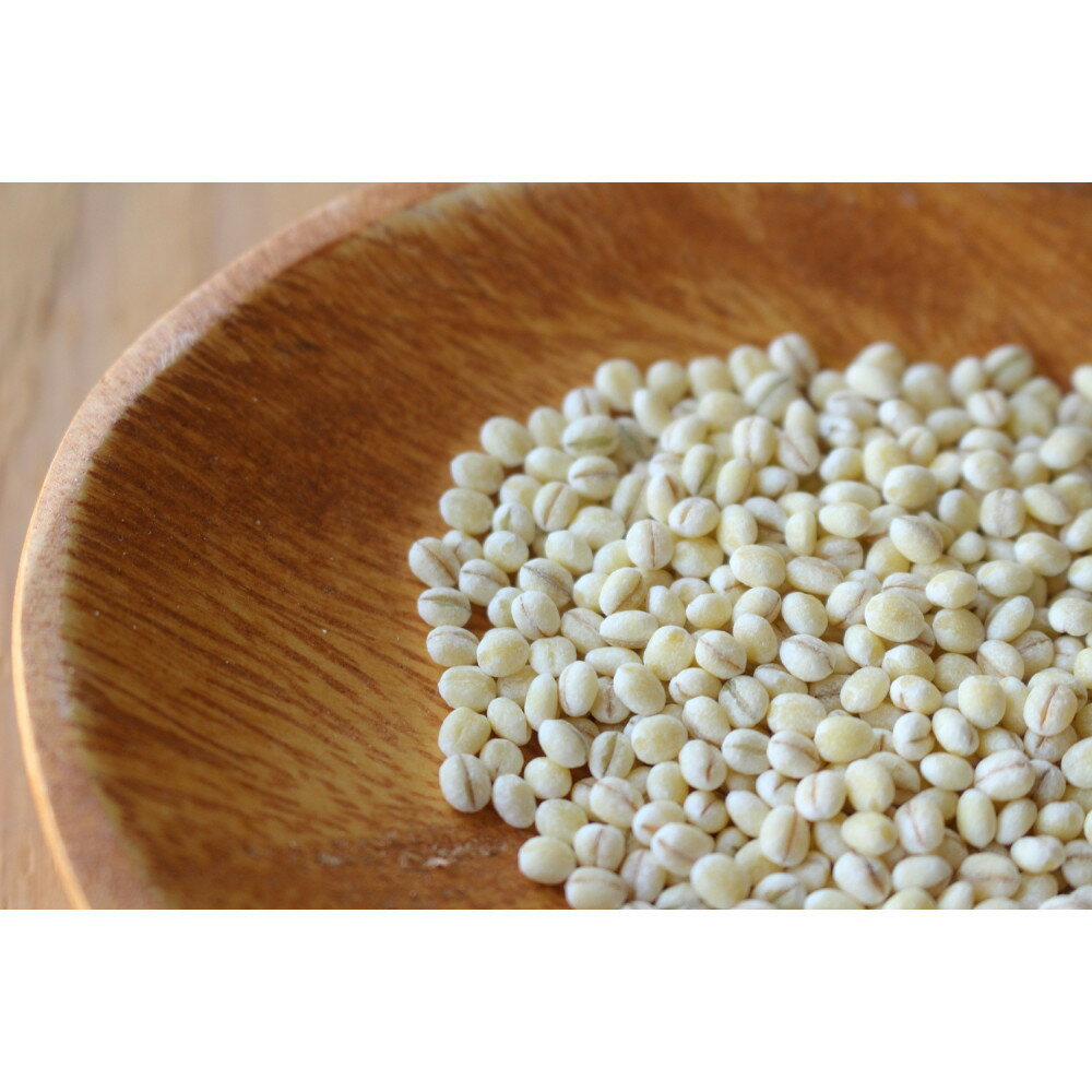 【ふるさと納税】令和7年産 岡山西大寺の幸せもち麦(キラリモチ) 数量限定 2kg(1kg×2) | 穀物 穀類 食品 人気 おすすめ 送料無料