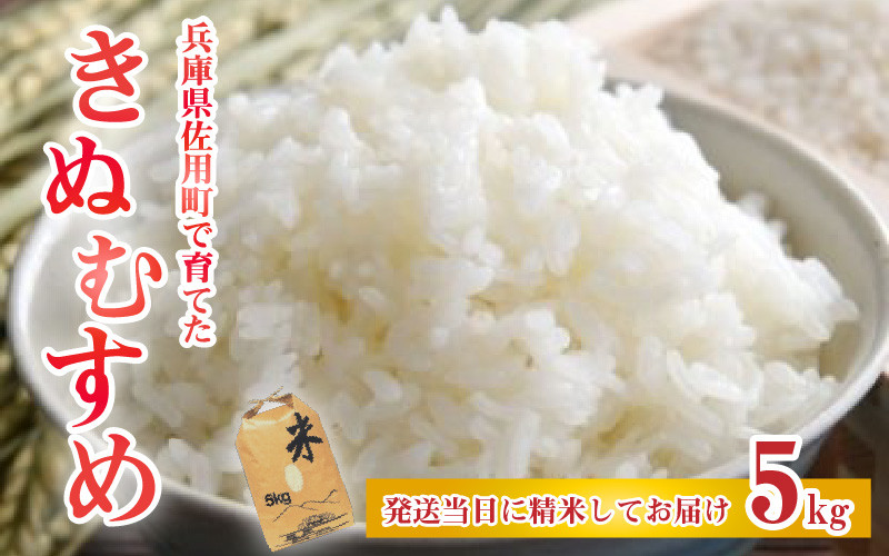 
            【先行予約】兵庫県佐用町で育てたきぬむすめ 5kg【2025年10月中旬頃から順次発送予定】 兵庫県産 きぬむすめ 減農薬米 精米 お米 特Aランク
          