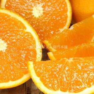 清見オレンジ[約5kg]和歌山県有田産春みかん(果実サイズおまかせ)【1223505】