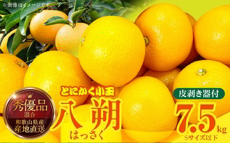 
                  MK1030_八朔 (はっさく) とにかく 小玉 箱込 7.5kg(内容量約 6.8kg) 秀品 優品 混合 Sサイズ以下 皮剥き器付 和歌山県産  産地直送
                
