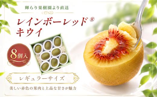 キウイ レインボーレッドⓇキウイ （レギュラーサイズ 8個入）　愛媛県西条市 輝らり果樹園  【11月中旬～12月中旬頃発送】｜ 愛媛産 キウイ レインボー レッド 高糖度 おすすめ 赤い果肉 果物 くだもの 人気 国産 高級キウイ キウイフルーツ