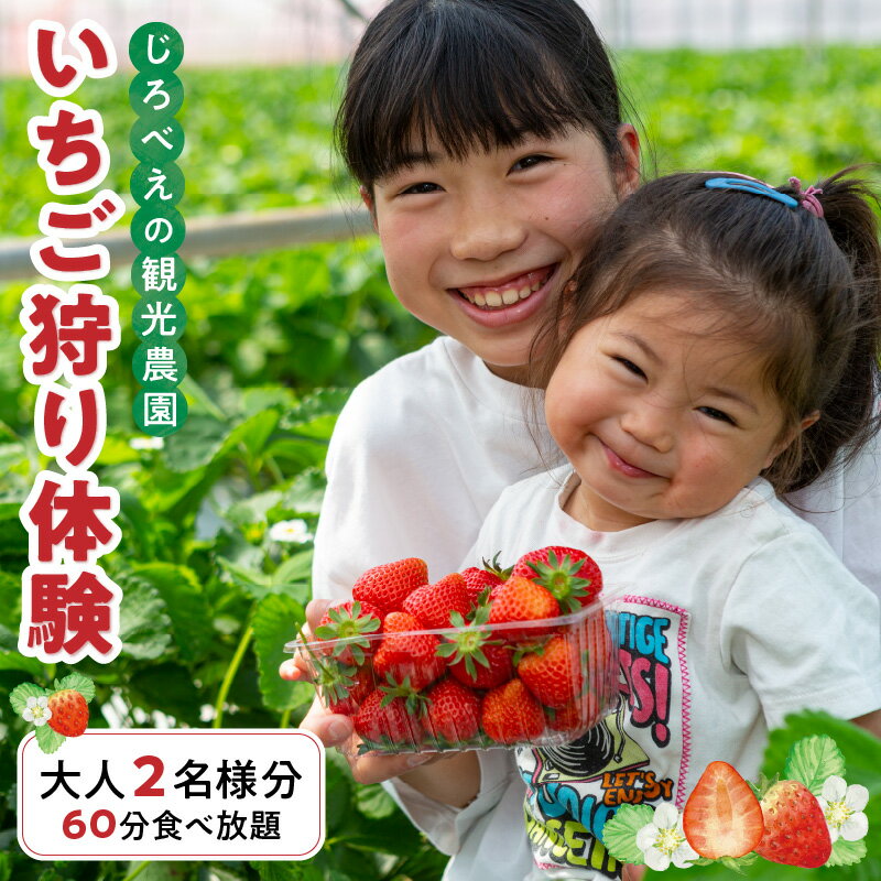 【ふるさと納税】いちご狩り 体験 大人 2名様分 60分 食べ放題 プラン 大人数 子供 ぽりっちご みくのか 章姫 ほしうらら よつぼし 紅ほっぺ すず スターナイト おいCベリー 常時 8品種以上 じろべえの観光農園 直売所 いちごスイーツ デザート 【熊本県宇土市】