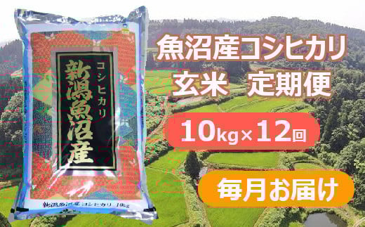 【先行予約】【令和7年産 新米玄米】【12か月定期便(毎月全12回)】魚沼産コシヒカリ・棚田米 玄米10kg×12回(毎月お届け)※2025年9月下旬以降より順次発送予定 佐藤農場【0018-0030DB00-01】