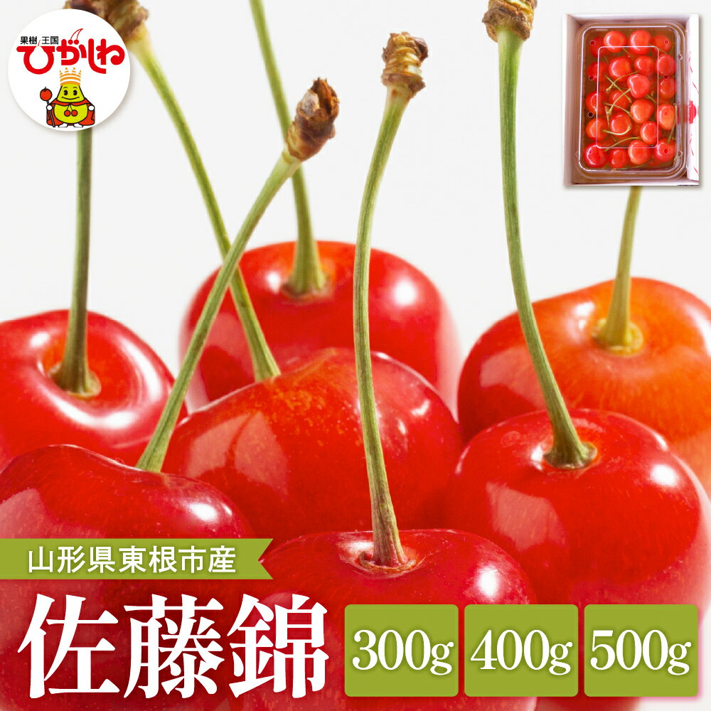 【ふるさと納税】2025年産 さくらんぼ「 佐藤錦 」( 選べる内容量 : 300g 400g 500g ) 秀品 バラ詰め Lサイズ以上 | さくらんぼ サクランボ フルーツ 果物 くだもの 箱入り 化粧箱 贈り物 ギフト 贈答 冷蔵配送 先行予約 送料無料 山形県 東根市