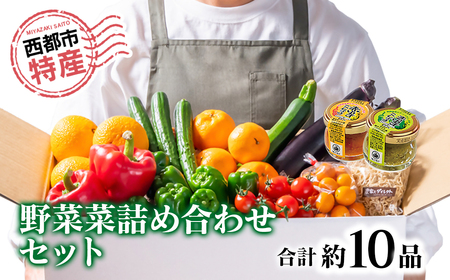 【先行予約】農家直送新鮮野菜セット　2026年＜1-48＞＊