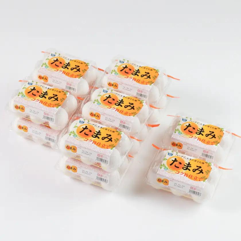 いすみポートリー産たまご「たまみ」6個入×10パック+割れ保障2パック【配送不可地域：離島】【1729054】