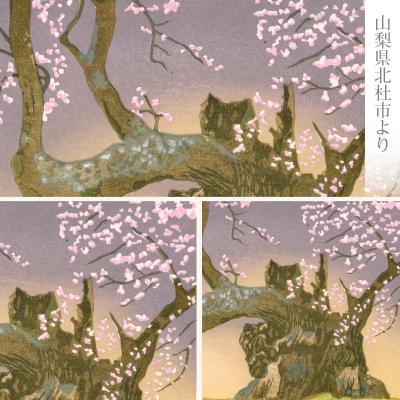 ふるさと納税 小牧市 版画「神代桜」[201M08] |  | 01