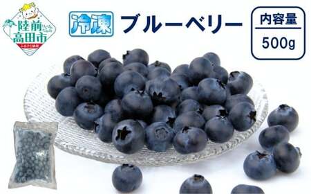 先行予約 冷凍ブルーベリー 500g×1袋 フルーツ ブルーベリー