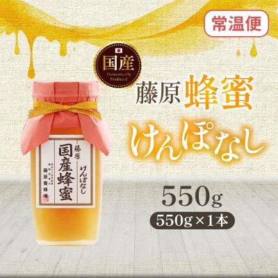 ふるさと納税 盛岡市 藤原国産蜂蜜 けんぽなし 550g 完熟 単花蜜 藤原養蜂場 岩手県盛岡市 |  | 03