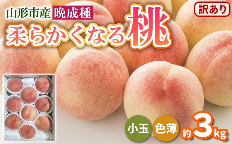 
                  柔らかくなる桃 晩成種 約3kg (7～12玉) 小玉 色薄 訳あり[伊達白桃 さくら白桃 白根白桃] FY25-297
                