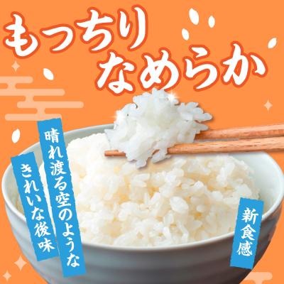 ふるさと納税 五所川原市 【令和7年産米】 米 はれわたり 5kg 特A 取得歴有 特別栽培米 青森県産 |  | 02