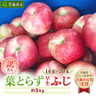 【ふるさと納税】「葉とらず早生ふじ」約5kg・訳あり家庭用りんご【配送不可地域：離島・沖縄県】【1142406】