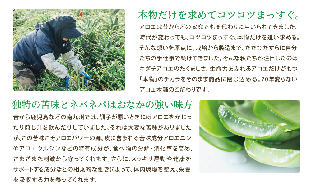 【健康習慣】アロエ健美減秘茶 「ハーブ・サラダ」60包×2袋 国産 キダチアロエ アロエ ハーブティー アロエ習慣 健康茶 スッキリ アロエ本舗 鹿児島県 南さつま市