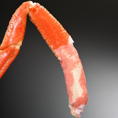 ふるさと納税 越前町 越前水がに　浜ゆで　4肩 (2杯分)セット　2026年2月〜3月順次発送 |  | 02