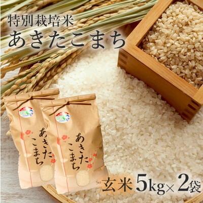 ふるさと納税 能代市 令和7年産 玄米 あきたこまち 10kg (5kg×2袋)  特別栽培米[No.5335-0355]