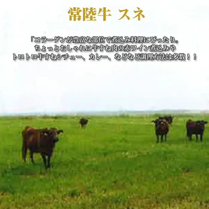 【常陸牛】スネ　約1kg＜茨城県共通返礼品＞ No.439