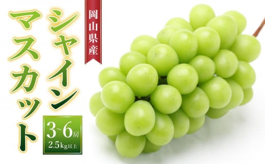 
ぶどう［2024年先行予約］シャインマスカット 3房～6房（2.5kg以上）岡山県産 [No.5220-1157]

