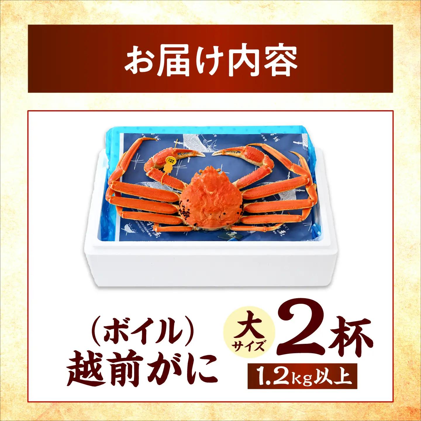 【先行予約/11月7日より順次発送予定】【冷蔵】「若狭小浜港産地直送」 越前がに (ズワイガニ) ボイル 大 2杯[BFBC021]【配送不可地域：北海道・沖縄・離島】