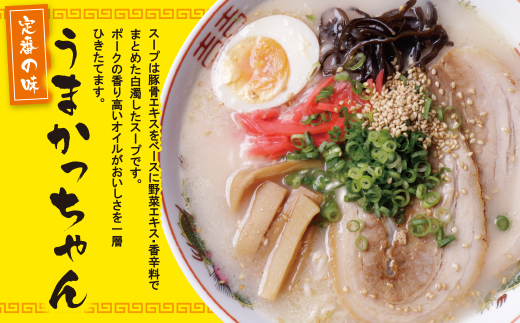【7営業日以内発送】うまかっちゃん 10食セット