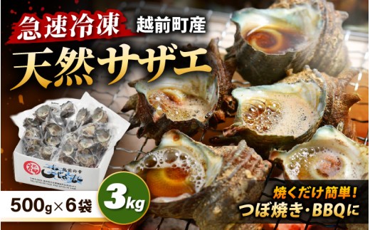 【先行予約】越前町産 天然 サザエ 3kg（500g×6袋）【2026年6月中旬より順次発送】【つぼ焼 BBQ 海鮮 バーべキュー 小分け おつまみ さざえ 福丸フーズ】 [e15-b019]