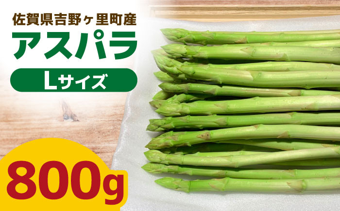 
                  【6～9月発送】吉野ヶ里産アスパラガス 夏芽 800g(20本～30本) 佐賀県吉野ヶ里町/K-ファーム吉野ヶ里[FCU002]
                