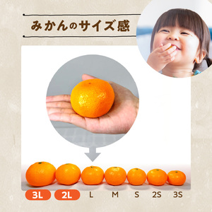 【2026年先行予約】みかん 大玉 どっこいしょ 箱込 5kg ( 内容量 4.4kg ) 2Lサイズ以上 秀品 優品 混合 有田みかん 和歌山県産 産地直送 【みかんの会】_MK1033