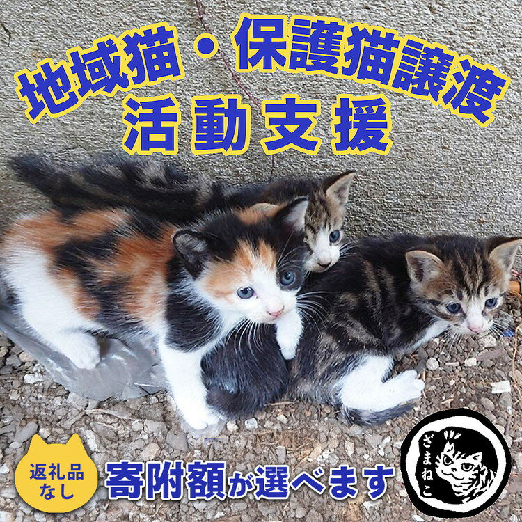 【ふるさと納税】【返礼品なし】＼選べる寄附額／ 地域猫・保護猫譲渡活動支援　NPO法人ざま野良猫を増やさない会 | 猫 ねこ 動物 保護 愛護 譲渡 保護活動 応援 支援 寄附