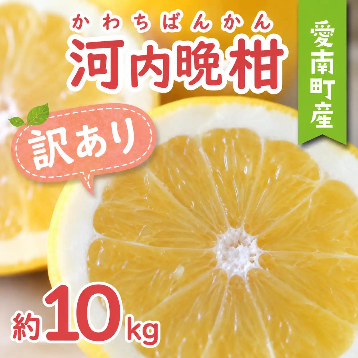訳あり 河内晩柑 10kg みかん あいなんマザーズ