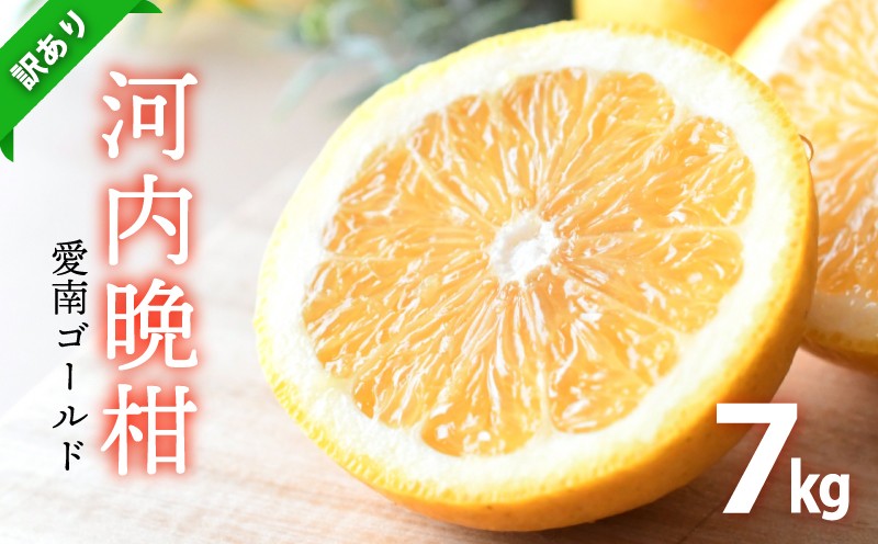
                  【先行予約：4月下旬～発送】訳あり 河内晩柑 7kg みかん 蜜柑 オレンジ 温州みかん グレープフルーツ 愛南ゴールド 文旦 ポンカン デコポン 不知火 愛媛みかん レモン ブラッドオレンジ ネーブル 果物 くだもの 果実 柑橘 かんきつ mikan フルーツ 果汁 ゼリー ジュース 甘い ジューシー ビタミン 美容 健康 特産品 国産 産直 愛媛県 愛南町 ひなたのみかん
                