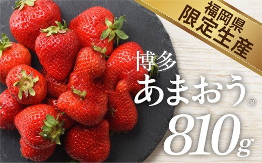 人気№１獲得謝礼品★限定品★あまおう約840g 先行受付