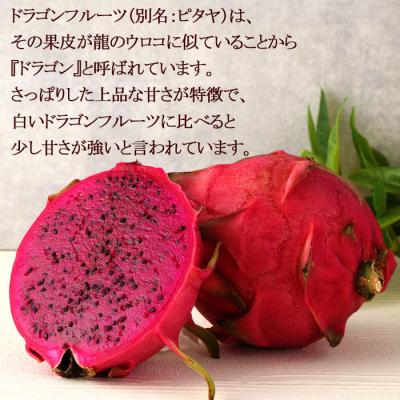 ふるさと納税 天城町 【2025年発送分】ご家庭用 徳之島 天城町産ドラゴンフルーツ 赤色 約2kg |  | 01